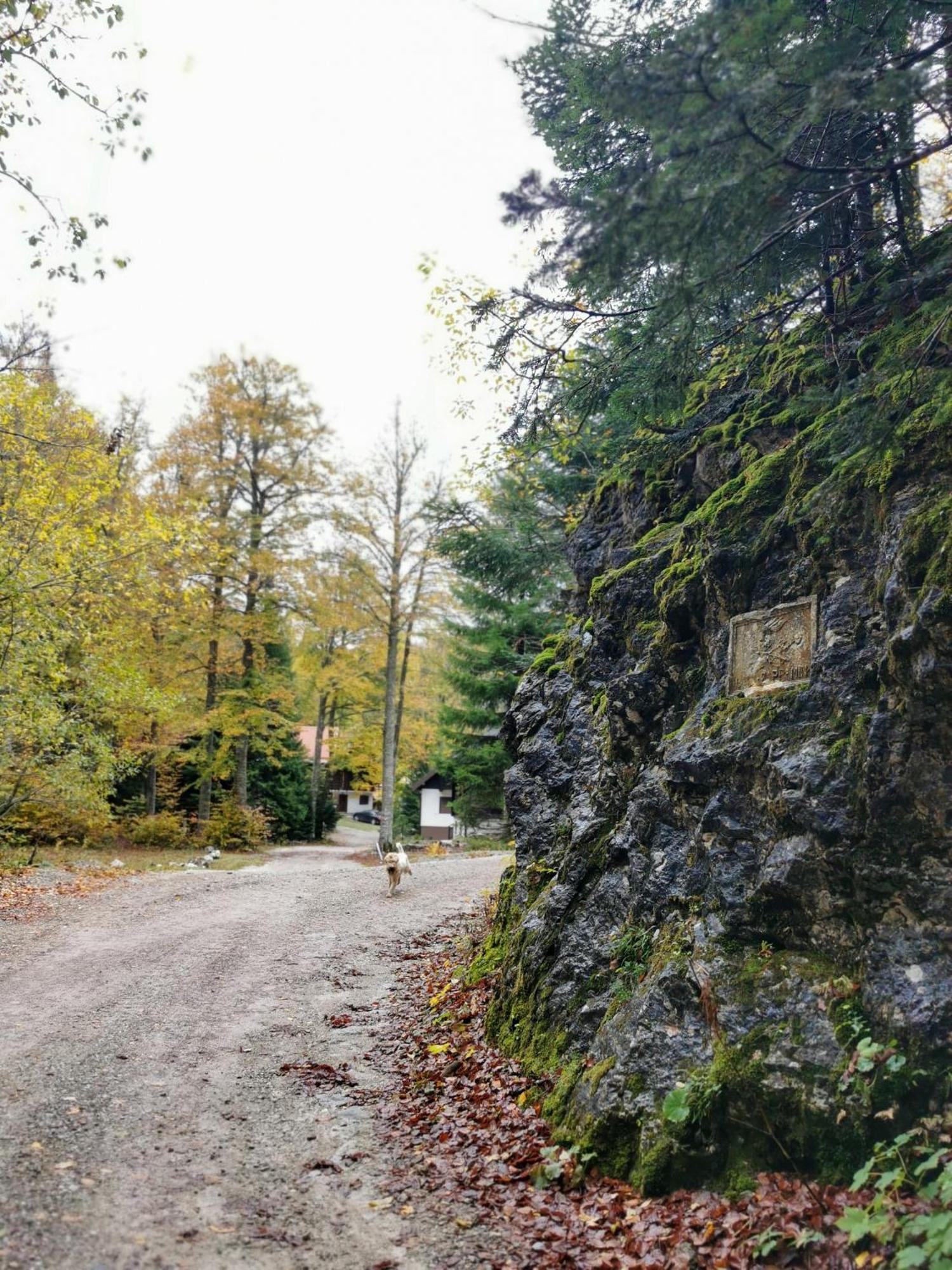 Koca Kresnica Villa Ilirska Bistrica Exterior photo