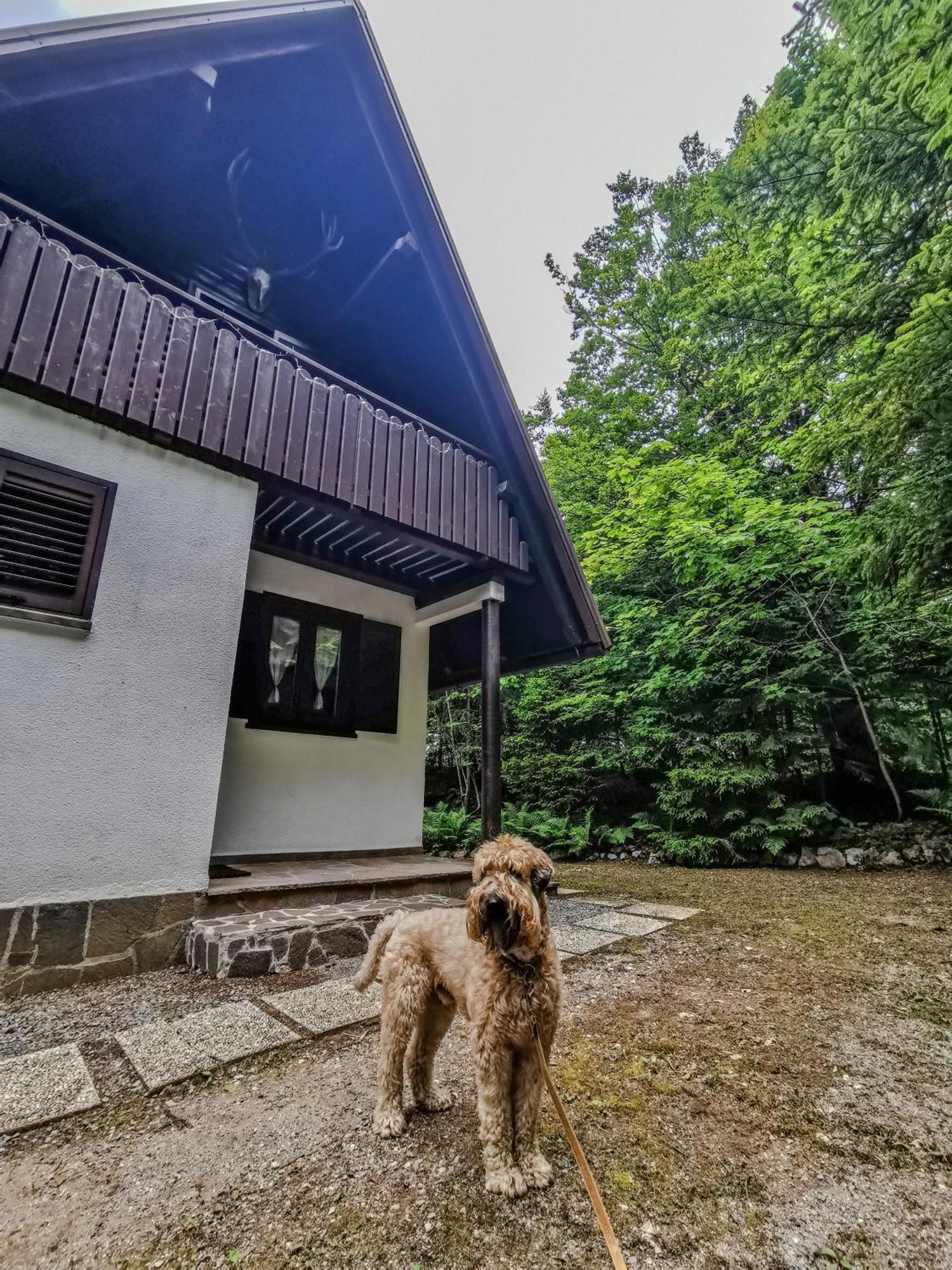 Koca Kresnica Villa Ilirska Bistrica Exterior photo
